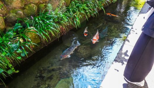 層流と乱流について