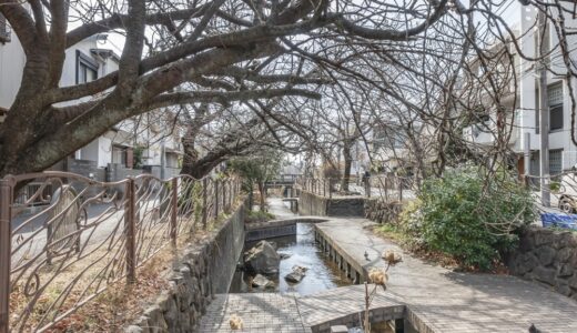【水理学基礎講座⑤-5】急縮・急拡による損失水頭の求め方