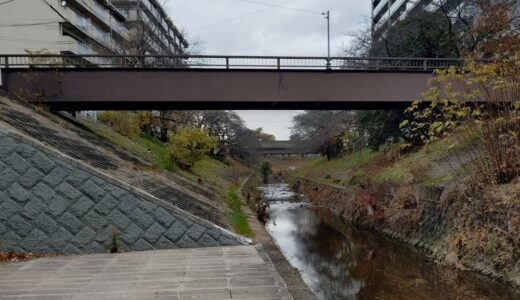 【水理学基礎講座⑤-7】河川の急縮・急拡と死水域による水面形