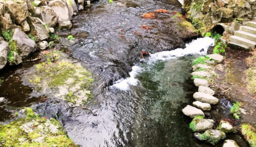 【コラム】水路幅を狭くすると水位は下がる！？